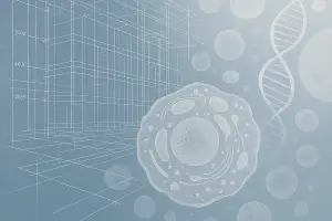 Sakara Signals | September 12, 2025 – Beyond the Algorithm: Strategy, Stewardship, and Scale