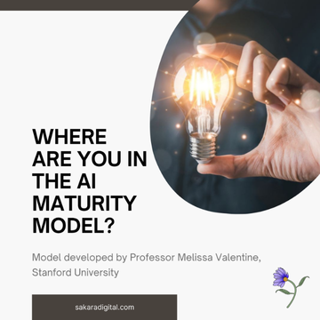 Where Are You in The AI Maturity Model?