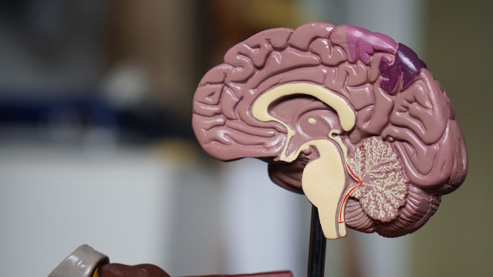 Patient-Centric Drug Development: How to Make It Operational, Not Just Aspirational